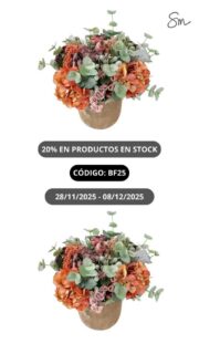 Seguimos de Black Friday hasta el lunes 8 de diciembre a las 23:59. 20% de descuento y envío gratuito en TODOS LOS PRODUCTOS EN STOCK  con el código BF25 , incluido nuestro outlet, en el que podréis encontrar súper chollos!!

Y si queréis ver todo lo que está en promoción, solo tenéis que pinchar el link de la bio… ¡así de fácil! 

¿Te lo vas a perder?

¡Gracias a tod@s por seguir ahí!

#losdetallesdesonia #blackfriday2025 #florartificial artificialflower plantaartificial