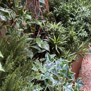 ¿Natural o artificial?
Hoy os traigo uno de los últimos proyectos del 2025.
Me pidieron introducir planta artificial para exterior en una jardinera en la que ya había planta natural, pero que por falta de luz, ésta no acababa de crecer y expandirse. La clave estaba en que lo artificial se intuyera natural, y quedase todo mimetizado.
No sólo había que cubrir la jardinera, sino también la pared, en la que las enredaderas naturales no estaban haciendo su trabajo.
Fue todo un reto, pues había que cubrir más del 60% de la jardinera y la pared.
¿Quien adivina qué es natural y qué no? ¿Y qué os parece el resultado?
#losdetallesdesonia #plantaartificialparaexterior #decorandojardineras #proyectosamedida #artificialplants