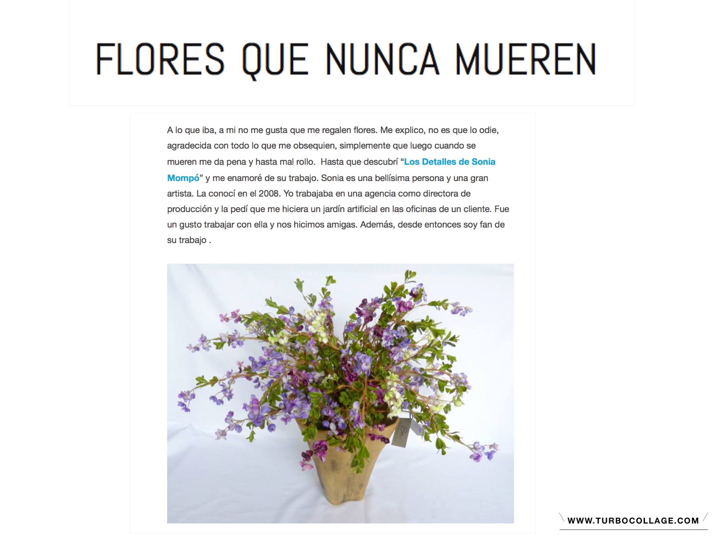 Flores que nunca mueren – Los detalles de Sonia Mompó